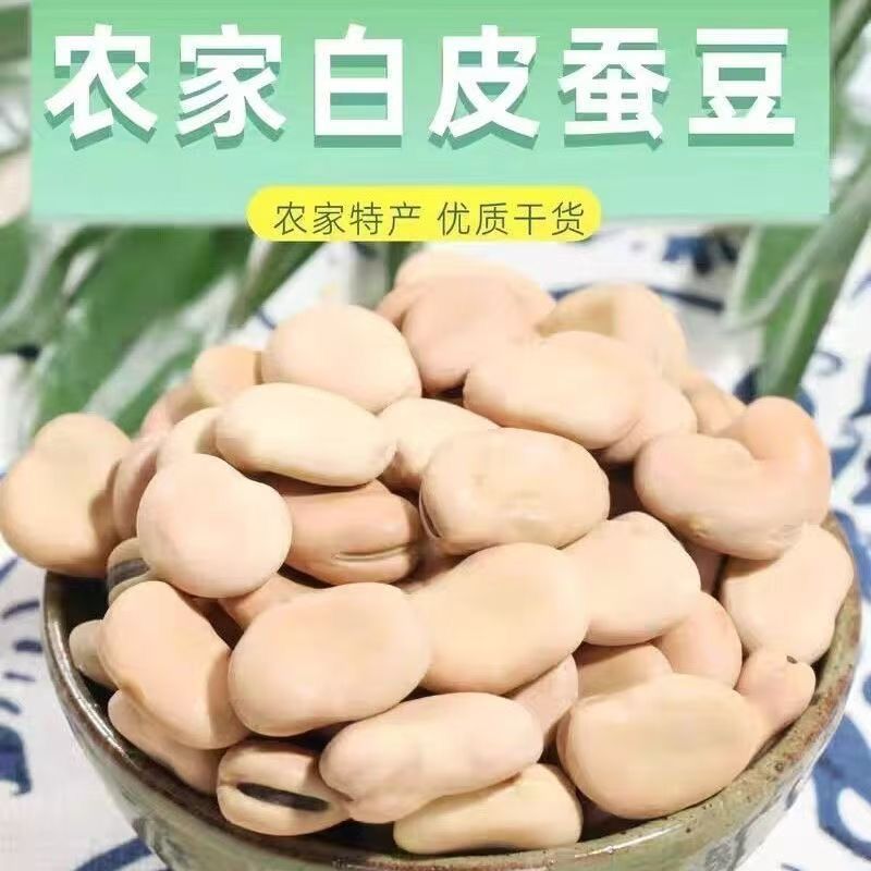 白皮干蚕豆当季农家新鲜干货批发晒干带壳生蚕豆散装豆子新货