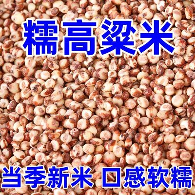 当季新米新货粘糯高粱米黏高粱农家红高粱年糕粽子糍粑专用