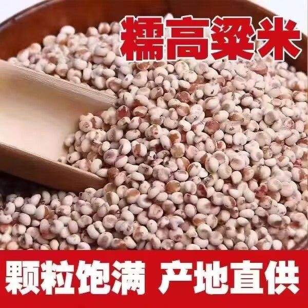 正宗粘糯高粱米新米五谷杂粮粗粮包粽子汤圆糍粑煮粥米饱满软糯
