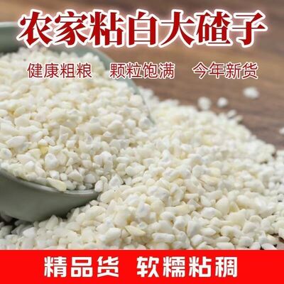 【超值价】白糯玉米碎玉米碴子农家糯玉米新鲜玉米头煮粥杂粮早餐