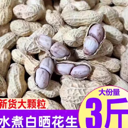 农家自制龙岩水煮白晒花生果肉饱满鲜香办公佐酒带壳花生