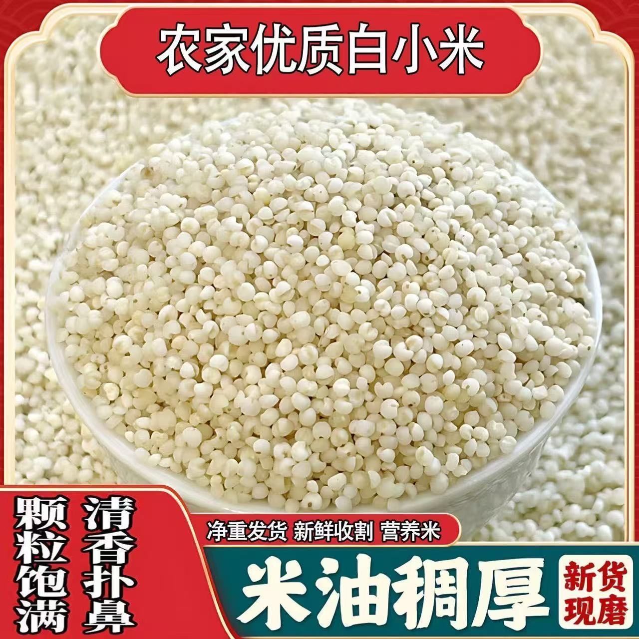 新鲜白小米食用五谷杂粮农家产粮白米熬粥营养正宗白小米现磨批发