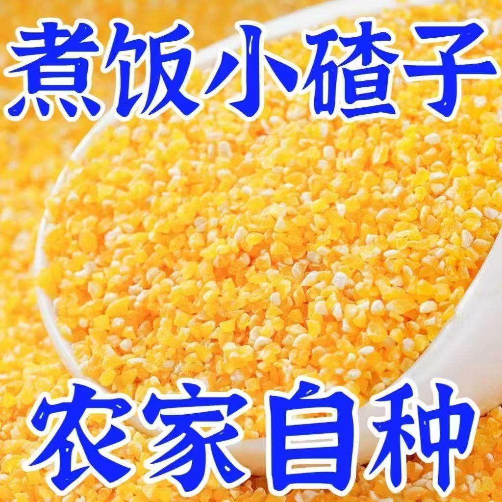 新货农家玉米小碴子杂粮尝鲜