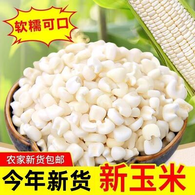 新白糯玉米碎碴子新货软糯蒸煮熬粥颗粒饱满白糯玉米碎煮粥