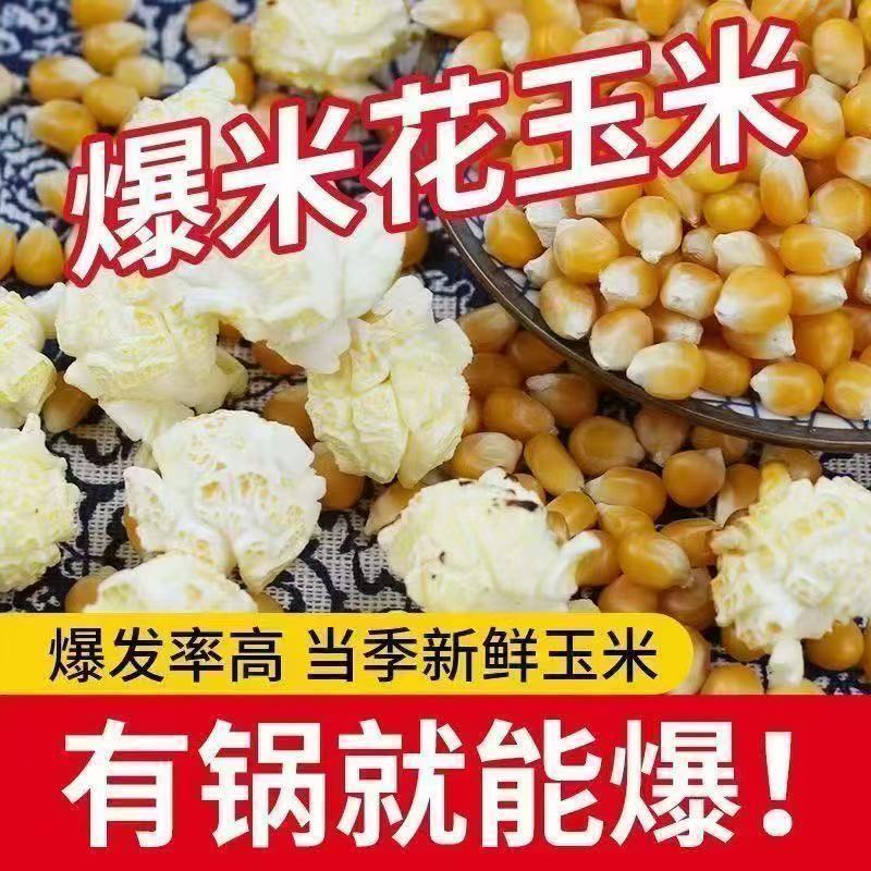爆米花专用玉米粒商用家用高爆发爆裂型玉米粒商用自制原料
