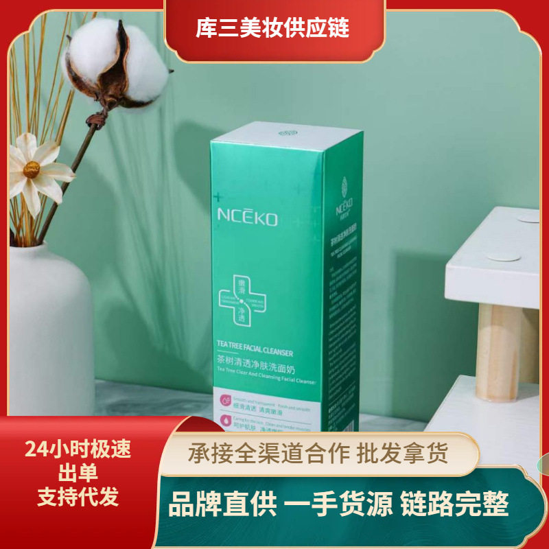 丽颜世家茶树清透净肤洗面奶温和清洁毛孔清爽祛痘洁面乳厂家