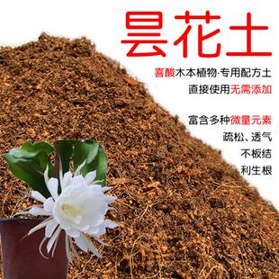 昙花专用土营养土昙花土包邮喜酸性有机土壤植物盆栽种植红土花肥