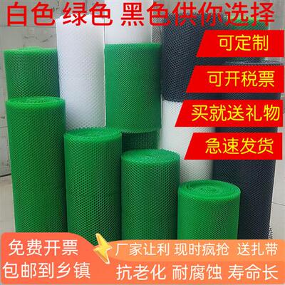 网板加厚养殖鸡鸭育雏塑料胶网楼梯阳台防坠防护网格片防猫封窗网