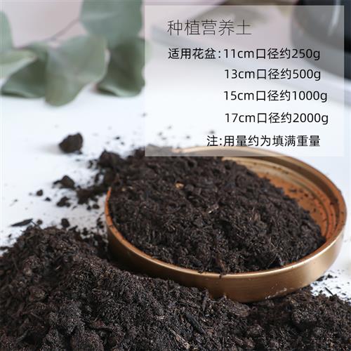 花土营养土种植土通用型多肉土家用绿萝专用土花泥绿植土壤包邮