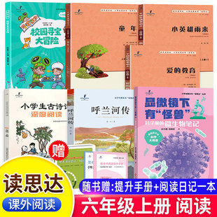 26秋读思达整本书六年级上下册童年小英雄雨来爱的教育显微镜下有怪兽呼兰河传发现数学校园寻宝大冒险小学生古诗词深度阅读6年级