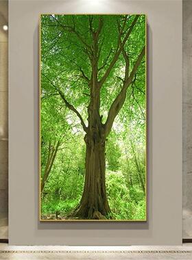 高清玄关画绿色大树风景画进门走廊墙万年青晶瓷画森林树木壁挂画