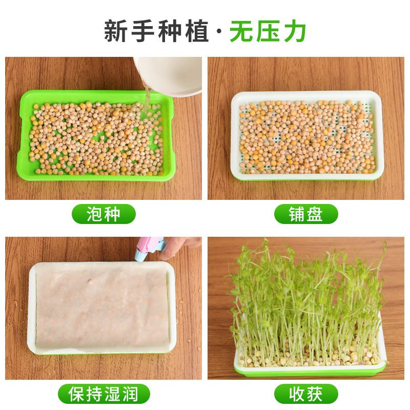 水培花生芽种植箱育苗盘网格盘花生苗种植盘盆豆芽发芽种植盒