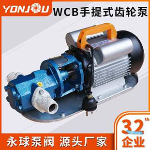 WCB75轻便小型220V柴油齿轮油泵WCB 永球现货供应 75手提式 齿轮泵