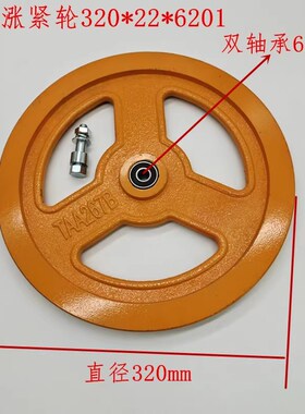 奥的斯/蒂森320*6201*6003*6004底坑限速器涨紧轮TAA267B