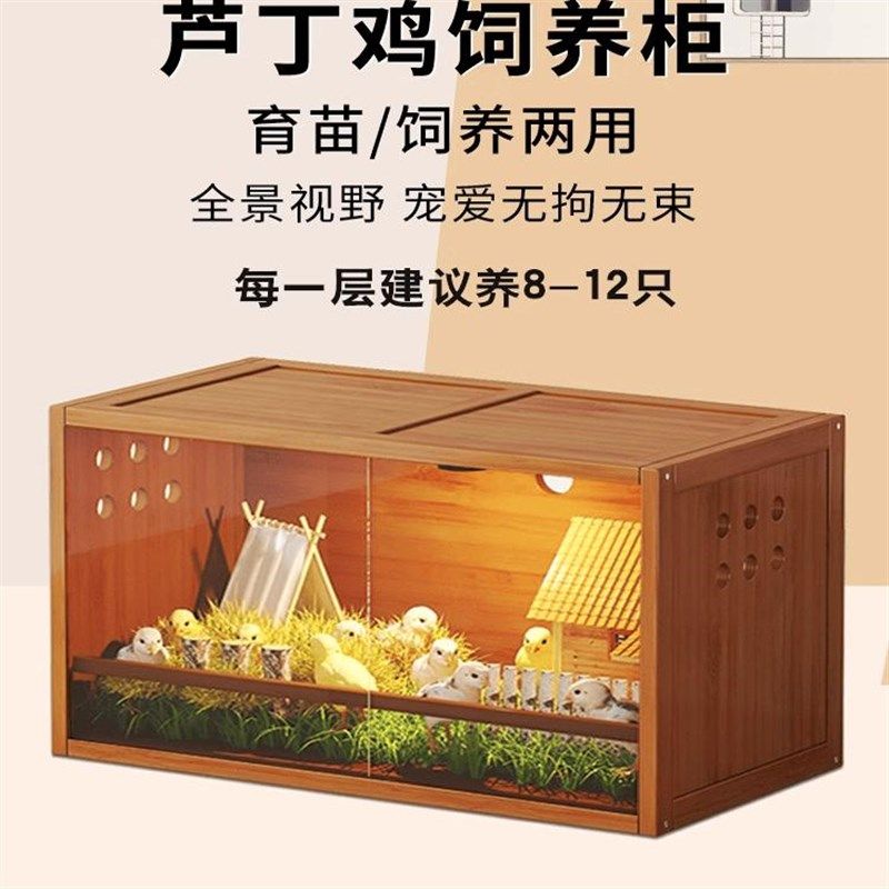 芦丁鸡饲养箱多层宠物保温育雏箱爬宠守宫仓鼠饲养柜蜜袋鼯鸟笼,宠物/宠物食品及用品,宠物鸡/鸭/鸽笼,淘宝优惠券,粉丝福利购,淘宝优惠卷