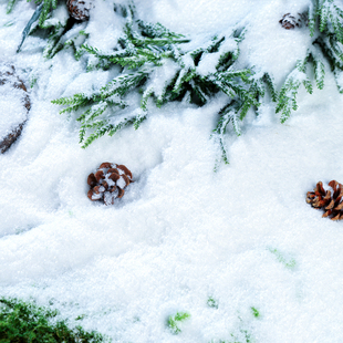 雪景布置仿真雪粉假雪造景人造雪干雪兑水雪圣诞雪景装饰拍摄影视