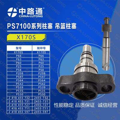 P8500、PS7100系列柱塞偶件2 418 455 518，P12-U462，F000401408