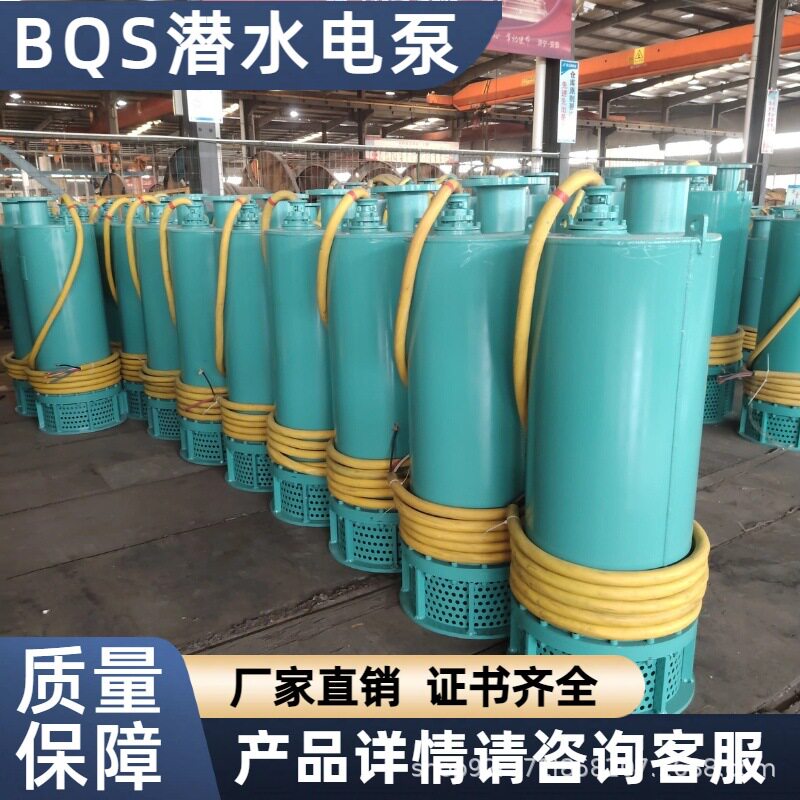 煤安证防爆潜水泵矿用隔爆型排污排沙潜水泵矿用潜水BQS80-20-11