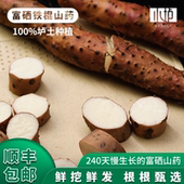 小垆富硒垆土铁棍山药5斤河南焦作正宗垆土生态种植新鲜怀山药