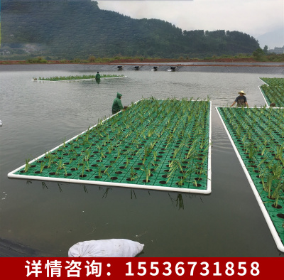 生态浮岛水上种植人工生态浮床浮岛水生植物绿化造景河道水面景观