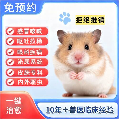 宠物医生在线问诊金丝熊仓鼠兔花枝鼠兽医医生24小时看病线上咨询