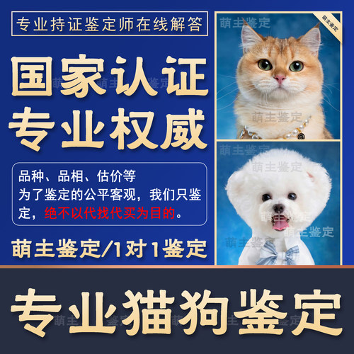 1对1鉴定24H在线鉴定猫狗超准