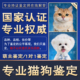 鉴定猫咪鉴定狗狗鉴定宠物狗品相鉴定看猫咨询幼犬猫咪鉴定看品相