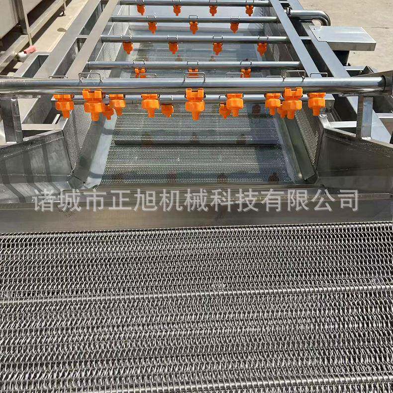 商用椰子洗枝OUR梅果机 荔杨鼓泡清大洗机 型桑葚猕猴桃清洗流水
