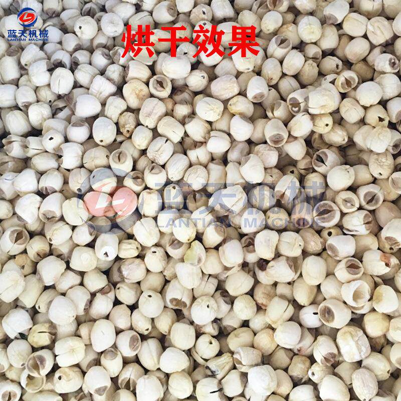 白莲DJP烘干机 莲花莲子蓬材烧生物质颗粒烘房干药 莲心莲子烘干