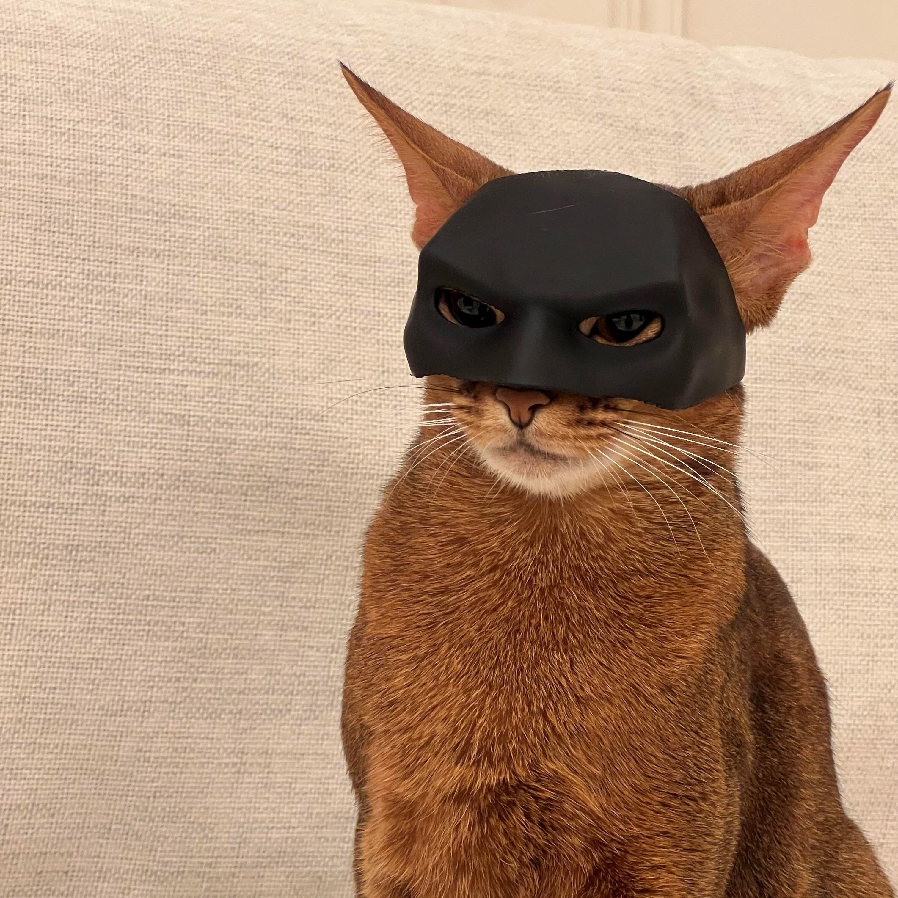 蝙蝠猫面具宠物面罩头饰COS拍照道具创意头套猫咪玩具搞怪蝙蝠侠