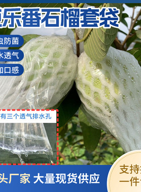 番石榴套袋网袋杨桃芭乐专用套袋水果防虫袋果袋套袋石榴袋子网套
