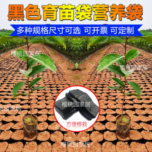 黑色育苗袋加厚营养钵塑料营养袋树苗专用一次性种植神器育苗培养