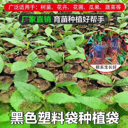 黑色育苗袋加厚营养钵塑料营养袋树苗专用一次性种植神器育苗培养