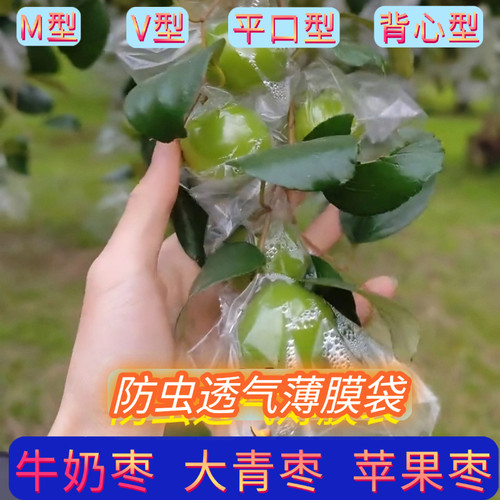 青枣套袋水果蜜思枣防虫套袋百香果防虫透明薄膜袋台湾牛奶枣袋子