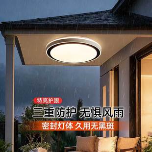 别墅大门口吸顶灯门厅入户灯户外庭院走廊阳台室外防潮防虫照明灯