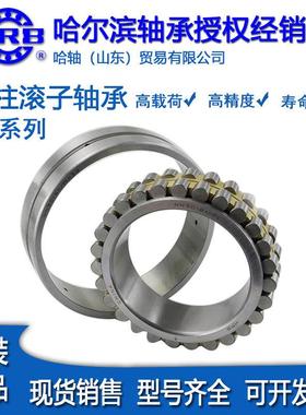 哈尔滨双列向心短圆柱滚子轴承 NN3056 3060K/P5W33精密机床轴承