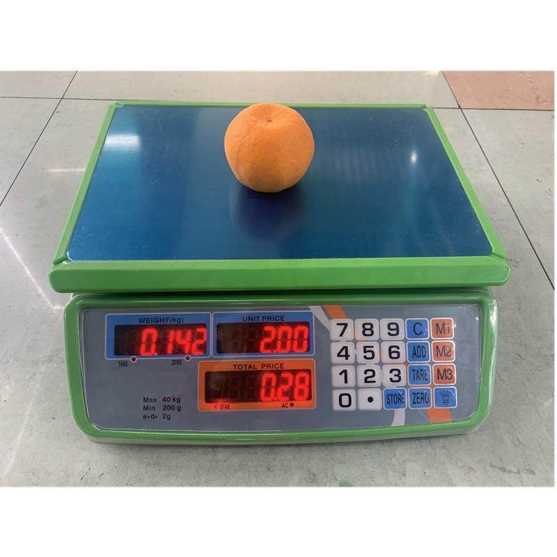 外贸英文版防水秤30kg电子计价秤电子台秤水产秤电子计价 防水秤