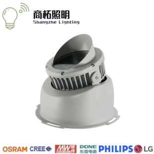 LED投光灯户外景区建筑墙体单色七彩全彩外控DMX512地垒照树灯