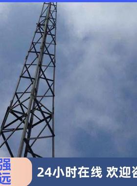 瑞远 钢结构避雷塔 避雷针塔规格 楼顶装饰避雷塔 避雷线塔厂家
