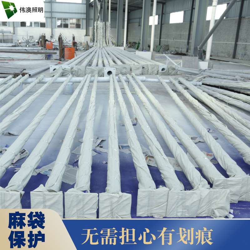 伟澳厂家直销市政道路5米6米7米太阳能路灯杆户外单双臂灯杆节能