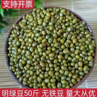 小颗粒明绿豆25kg绿豆50斤商用 煮粥熬绿豆汤好煮易烂量大从优