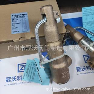 斯派莎克安全阀 SV615AS斯派莎克安全阀青铜安全阀 SV607 SV607DS