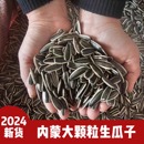 内蒙古生瓜子2023年新货精品363金禾葵花子毛嗑新鲜散装 产地直销