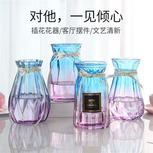 欧式创意大号玻璃花瓶水培植物绿萝富贵竹插花瓶客厅装饰台面摆件