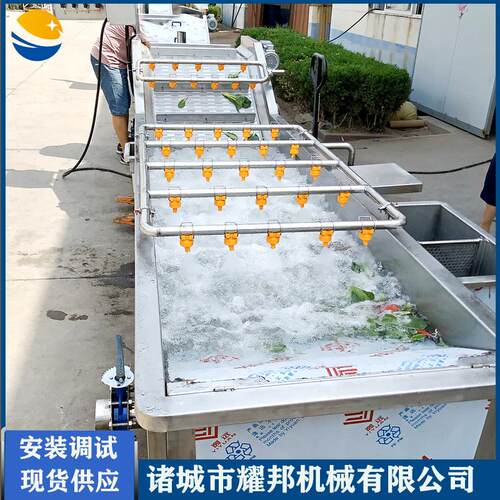 蔬菜漂烫机 网菜式蔬菜漂烫冷却体机 连续式链蔬漂烫生连2000产线