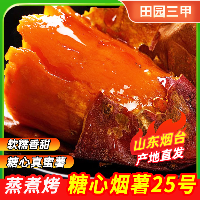 烟薯山东25号红薯蜜薯新鲜