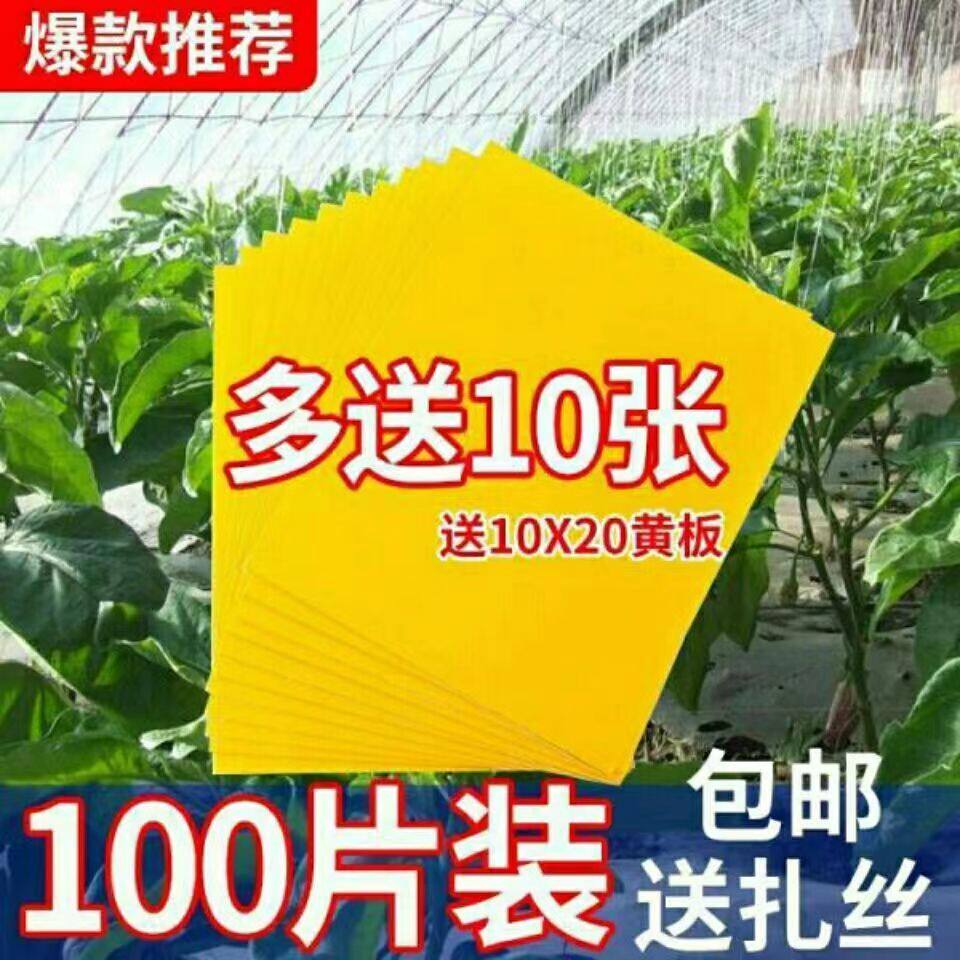 果园大棚双面黄板引诱实蝇蓟马