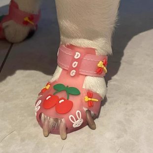 小型犬 硅胶夏季 软底狗狗透气法斗猫咪中防滑宠物鞋 子凉鞋 果冻鞋