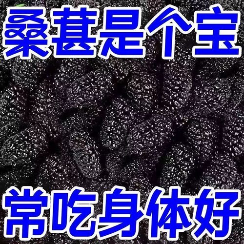 桑葚干新鲜黑桑葚干果500g新货正品免洗即食干净泡水茶酒桑椹花茶