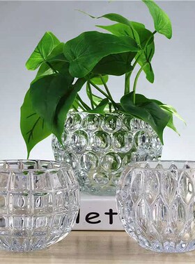 水培植物玻璃瓶圆形玻璃花瓶透明C绿萝睡莲铜钱草水养花盆器皿容